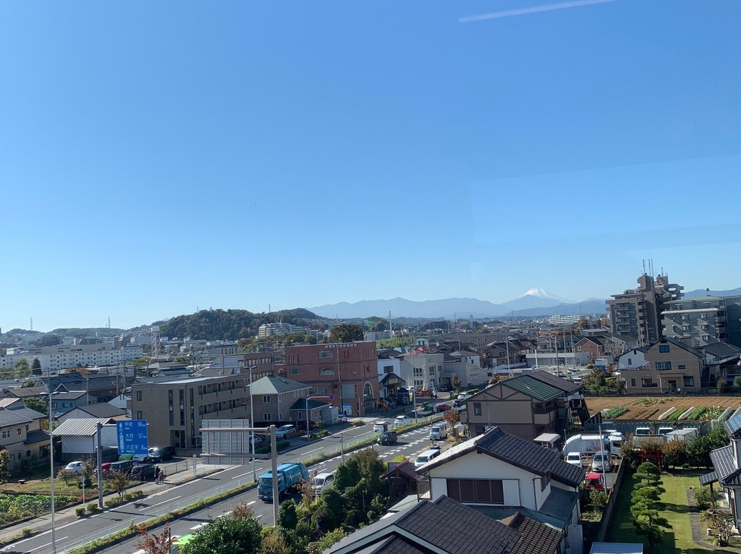 Tama Monorail景点图片