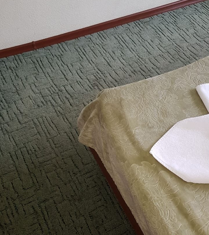 Primoravtotrans主图