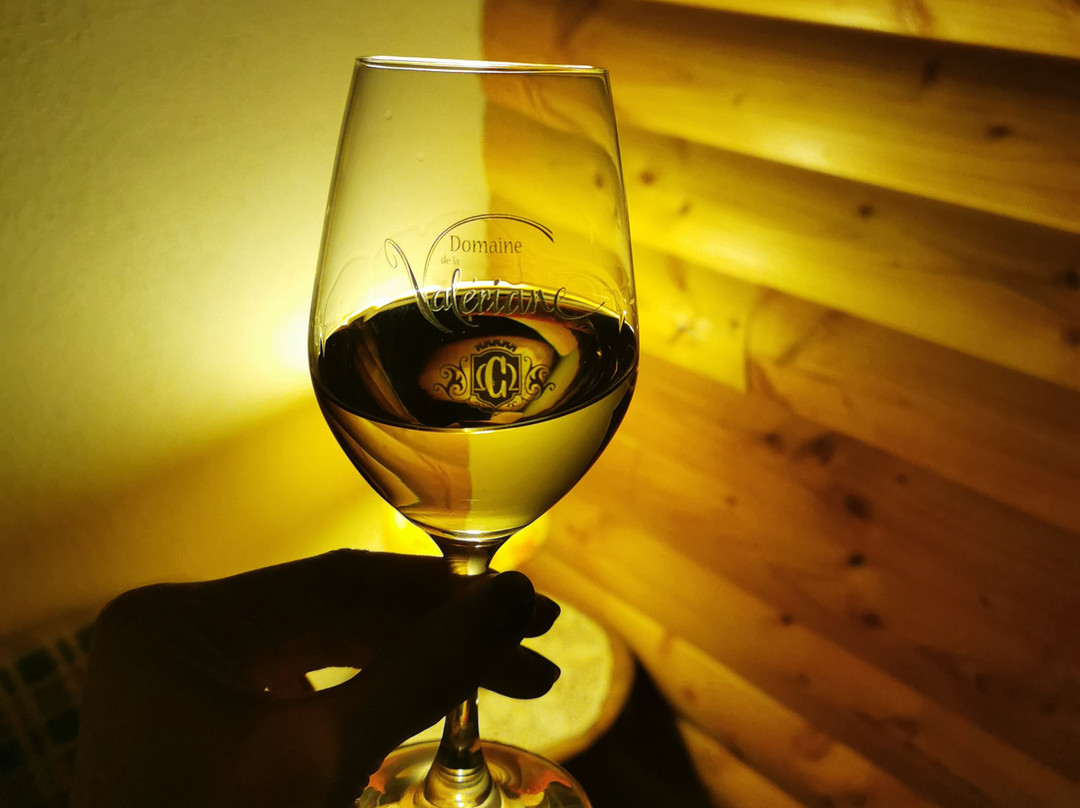Domaine de la Valeriane-Domazan必去景点