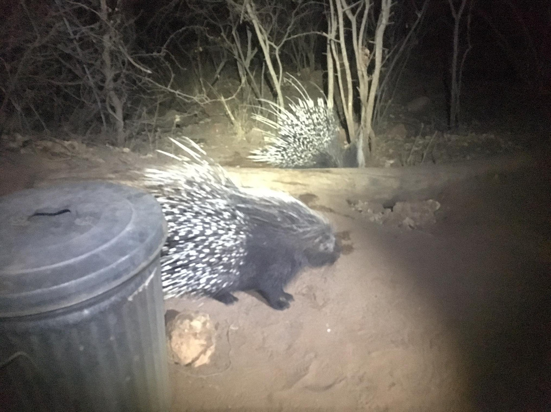 Waterberg National Park-奥奇瓦龙戈必去景点