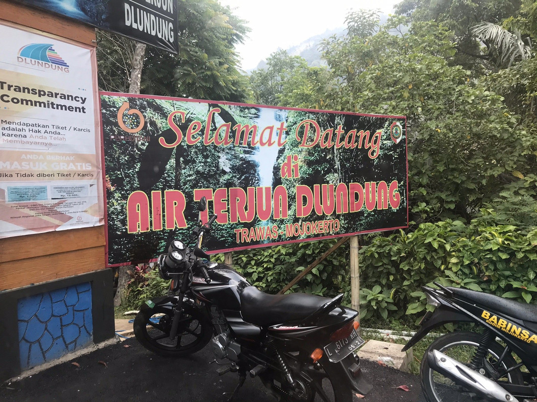 Dlundung Waterfalls景点图片