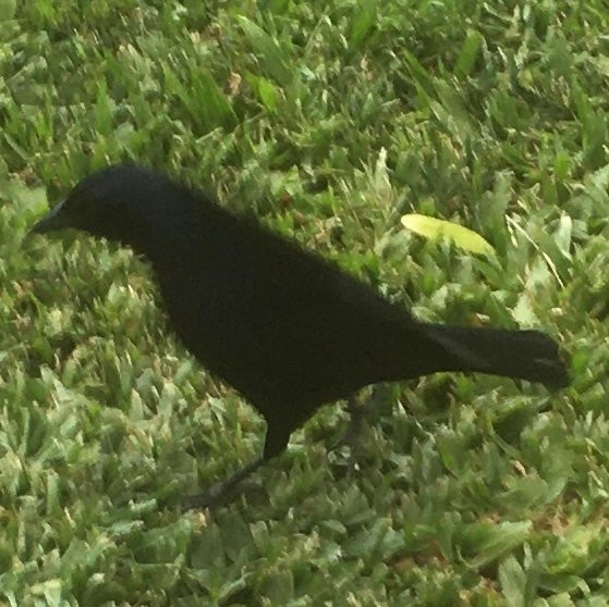 Posada de las Sierras主图