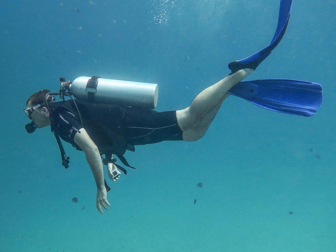 梅林潜水者－卡马拉潜水中心景点图片