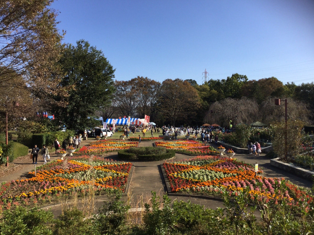 Chikozan Park-狭山市必去景点