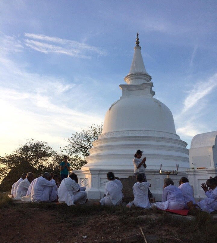 Sam Safari 🐾-Hambantota必去景点