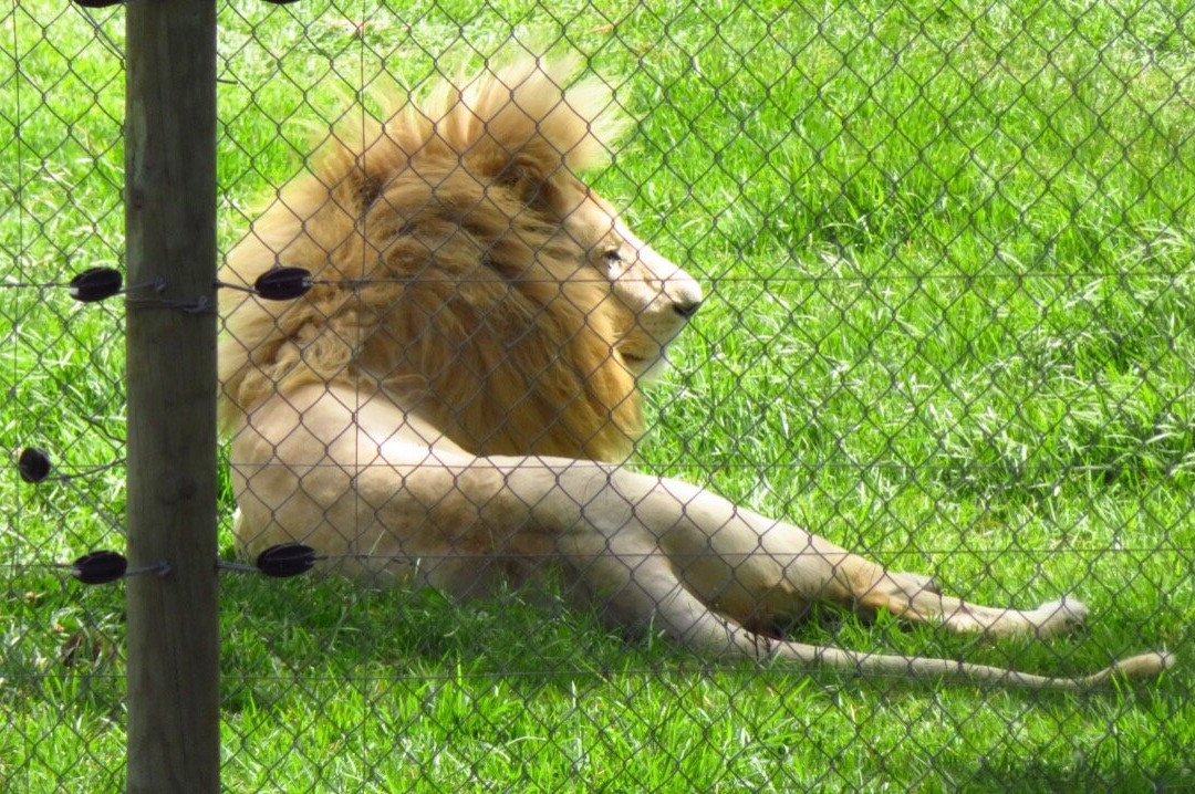 Jukani Wildlife Sanctuary-The Crags必去景点