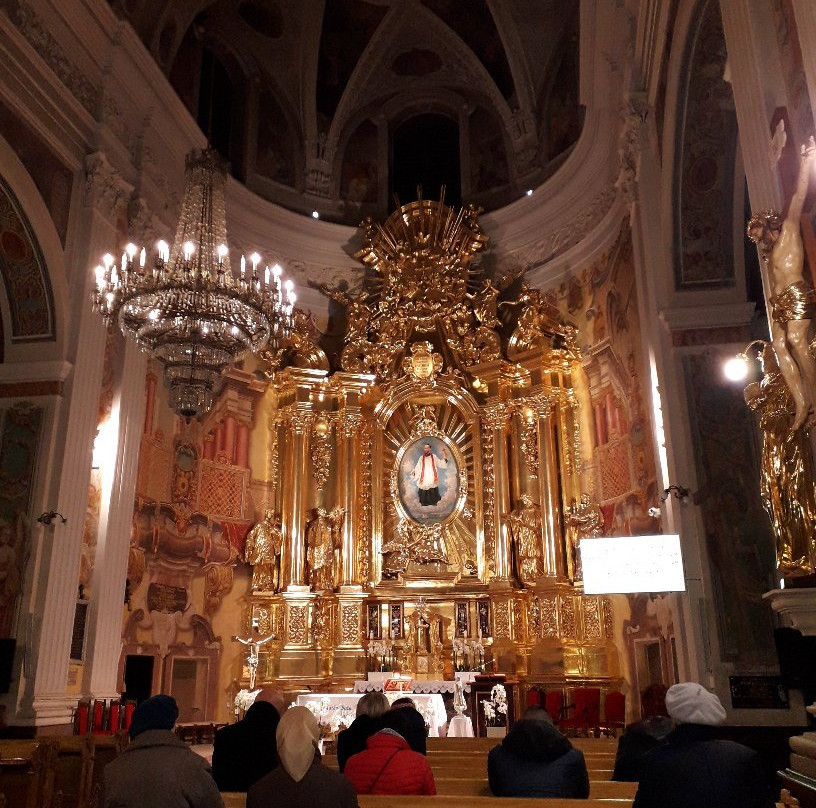 Sanktuarium Matki Bozej Trybunalskiej景点图片