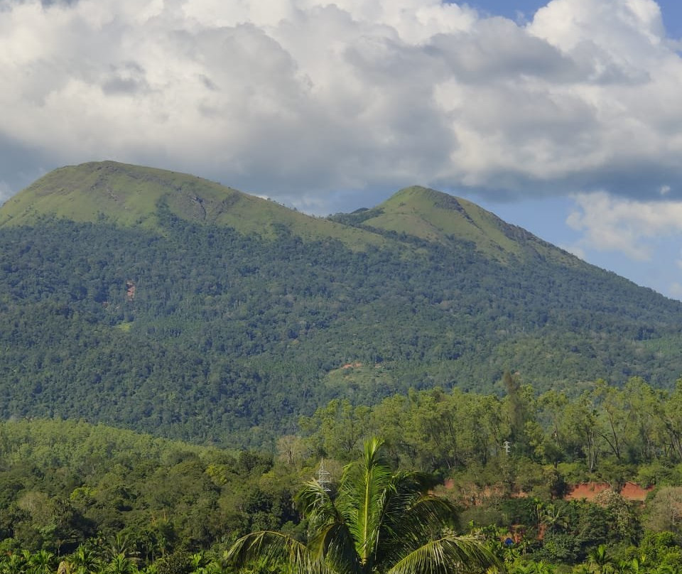 Mudra Homestay主图