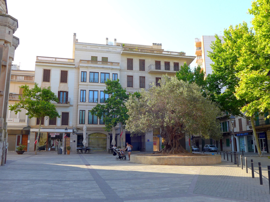 Bicis Sancho-马纳科尔必去景点