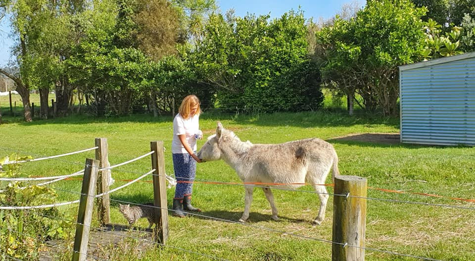 Jacaranda Lodge主图