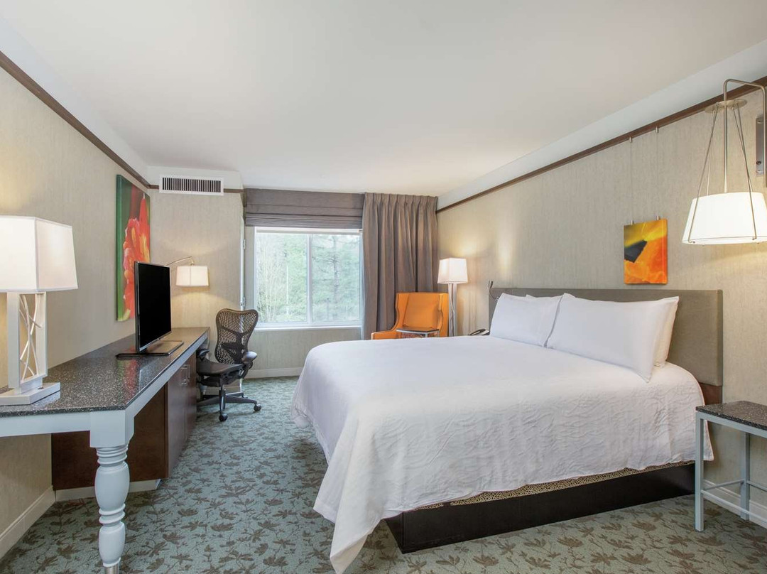 Hilton Garden Inn Olympia主图