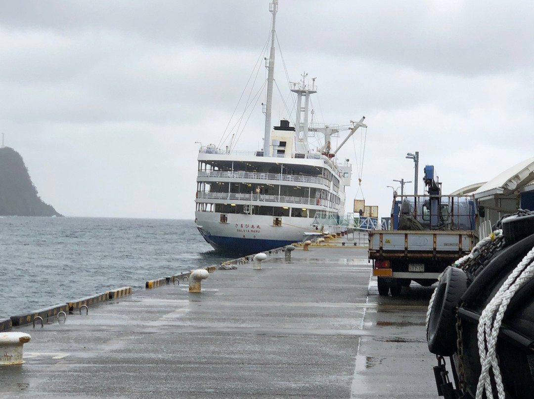 Okata Harbor-大岛町必去景点