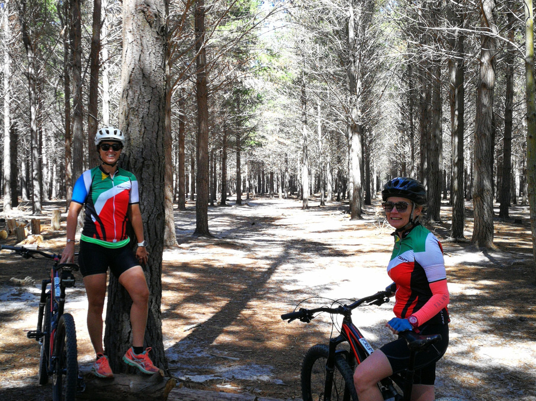 Tokai Forest-Tokai必去景点