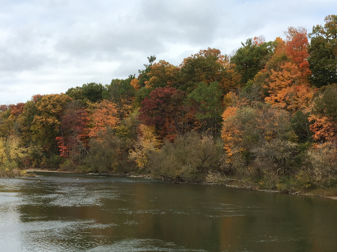 Springbank Park-伦敦必去景点
