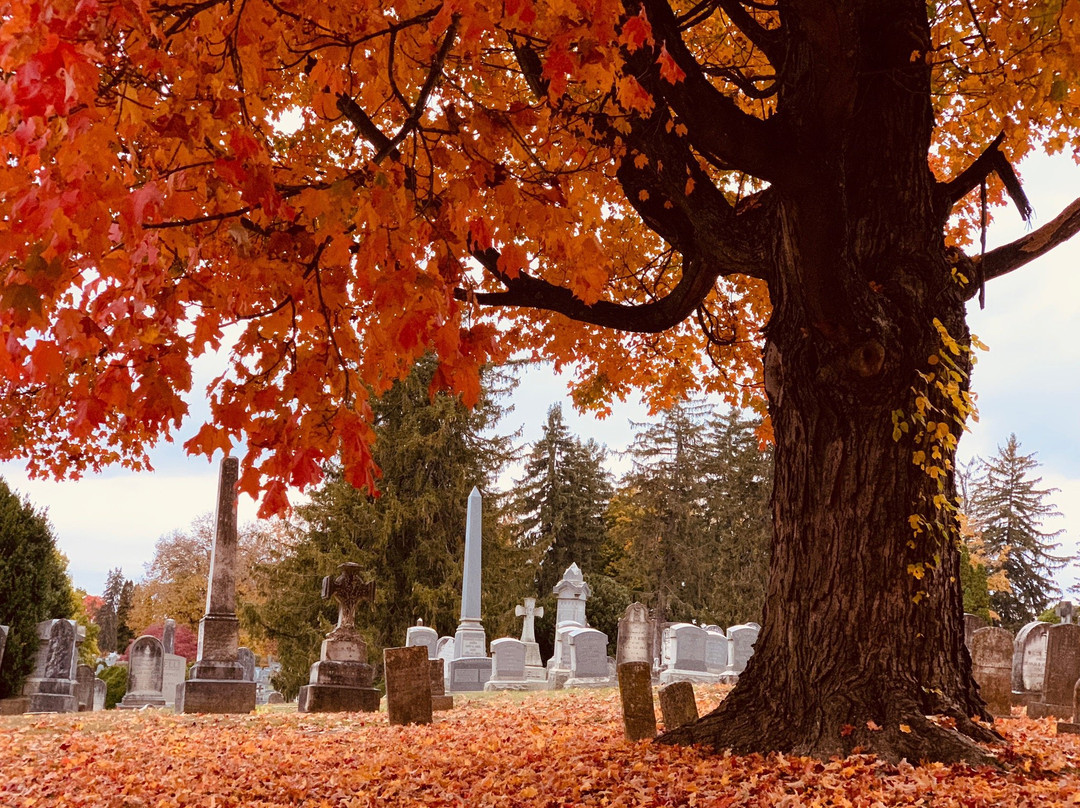 Thornrose Cemetery景点图片