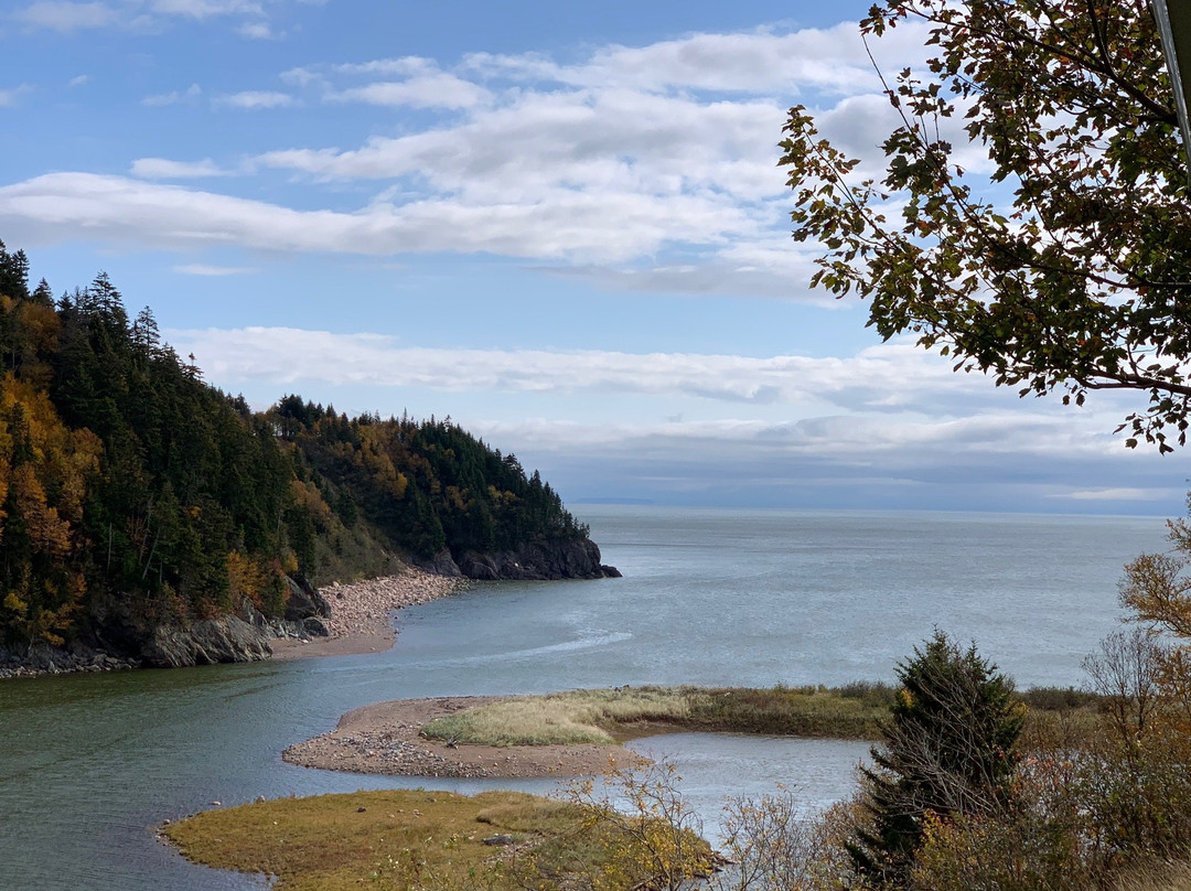 Go Fundy Tours-圣约翰必去景点