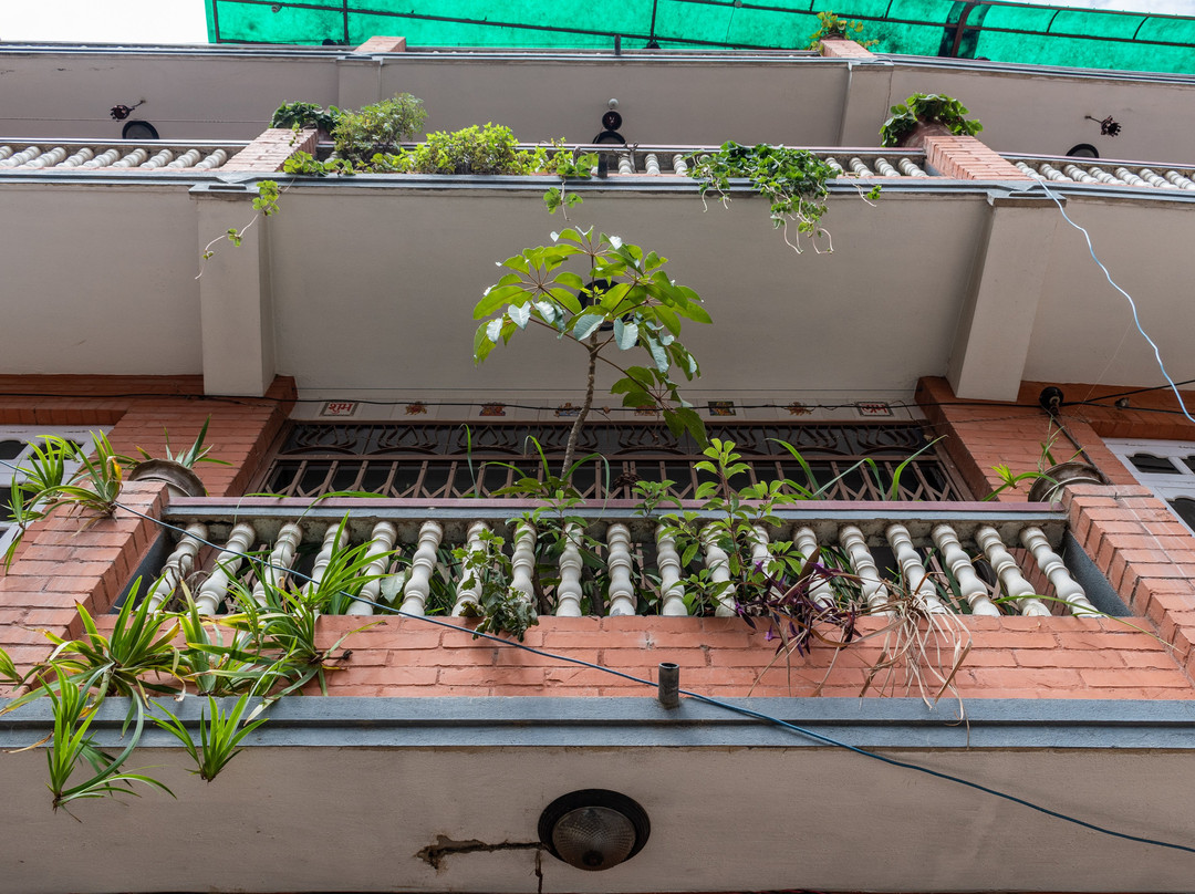 Catsun Family Home主图