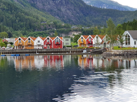 Guided Fjord Tours - Bergen-卑尔根必去景点