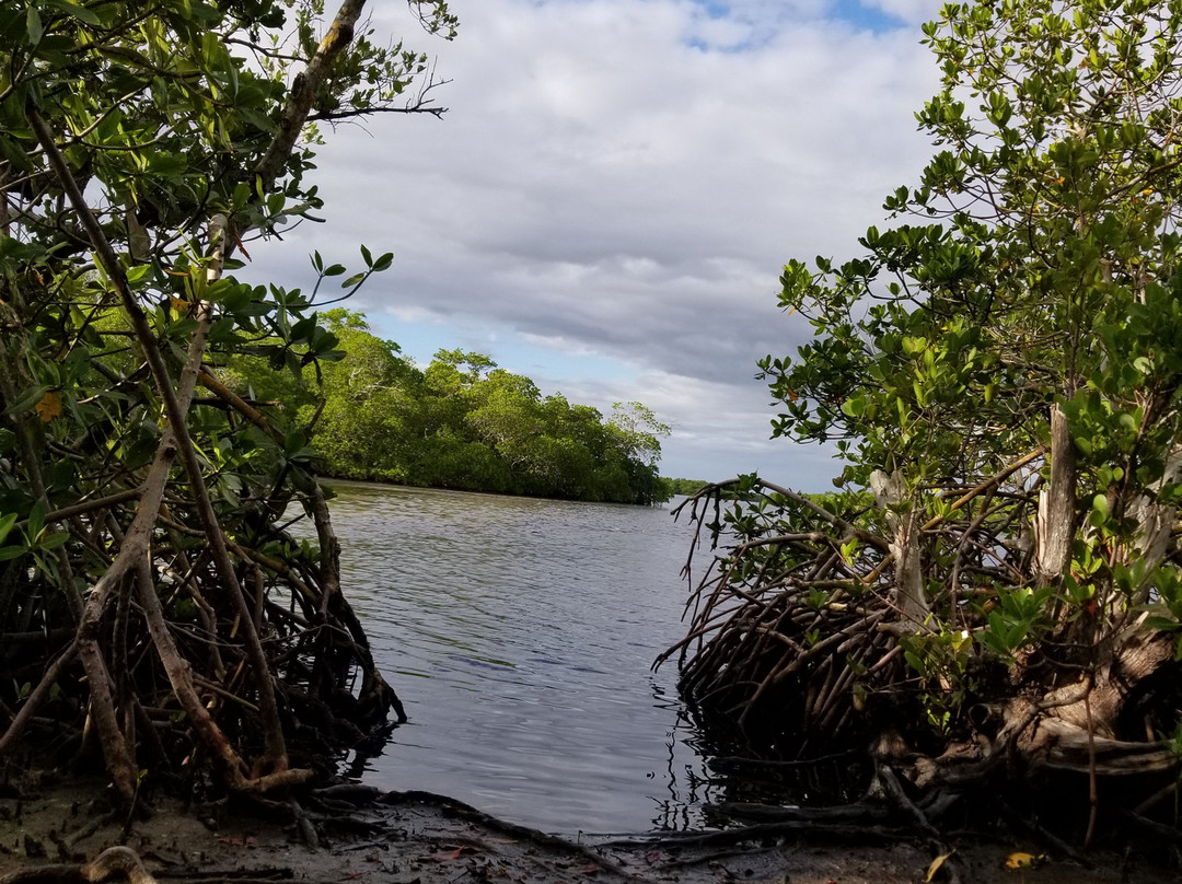 St. Jude Nature Trail-Saint James City必去景点