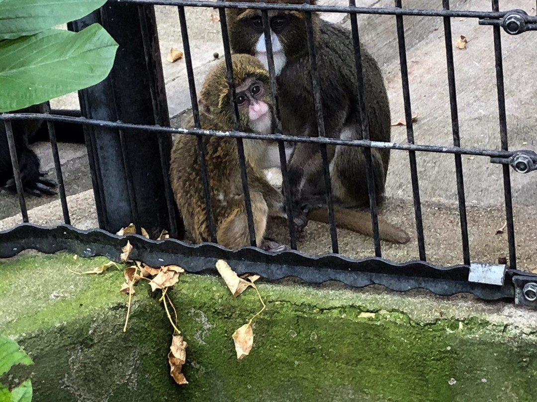 Bramble Park Zoo-沃特敦必去景点