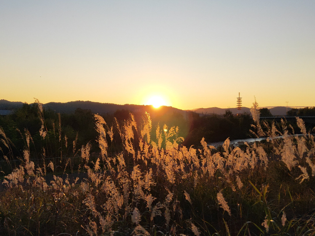 Asahikawa Kitasaito Garden景点图片