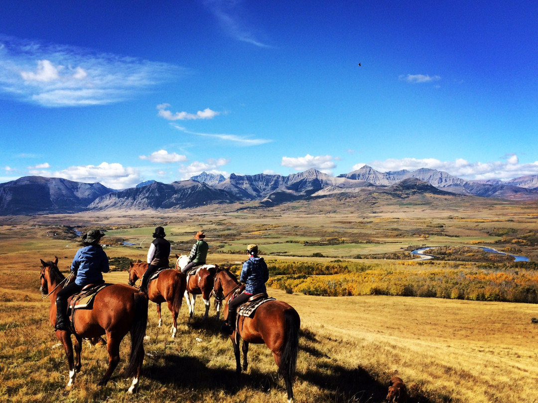 Waterton River Trail Rides Ltd.-沃特顿湖国家公园必去景点