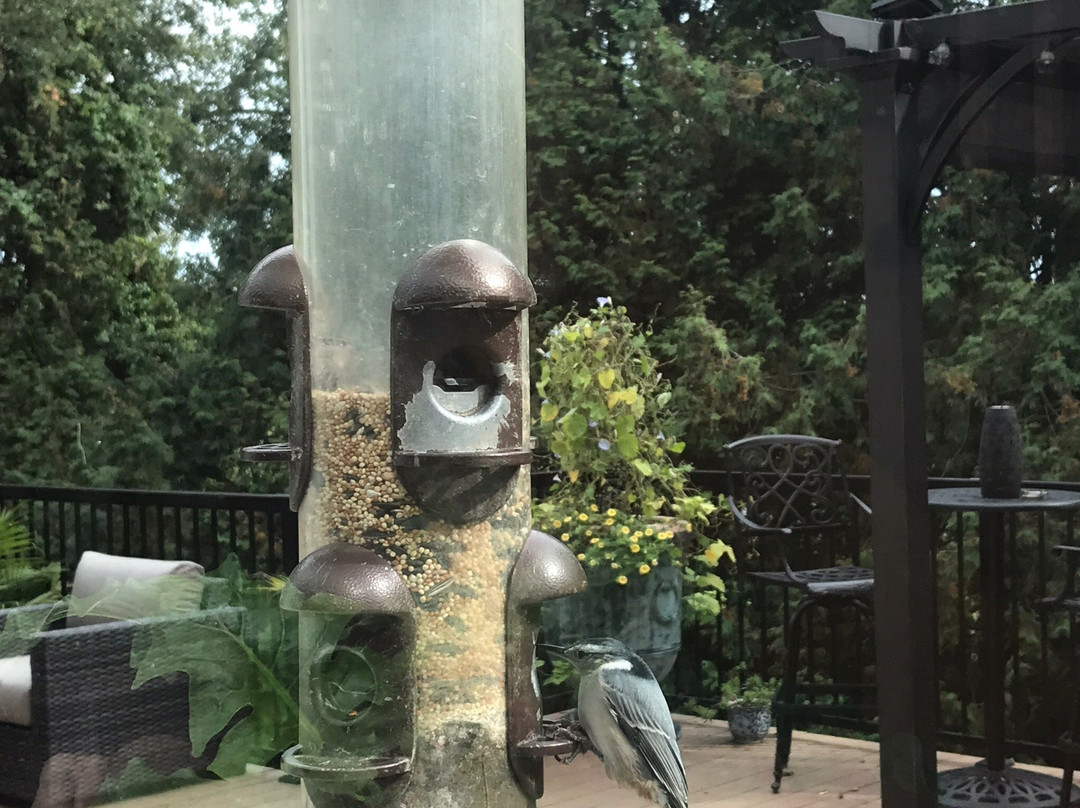 Inn on the Moraine主图