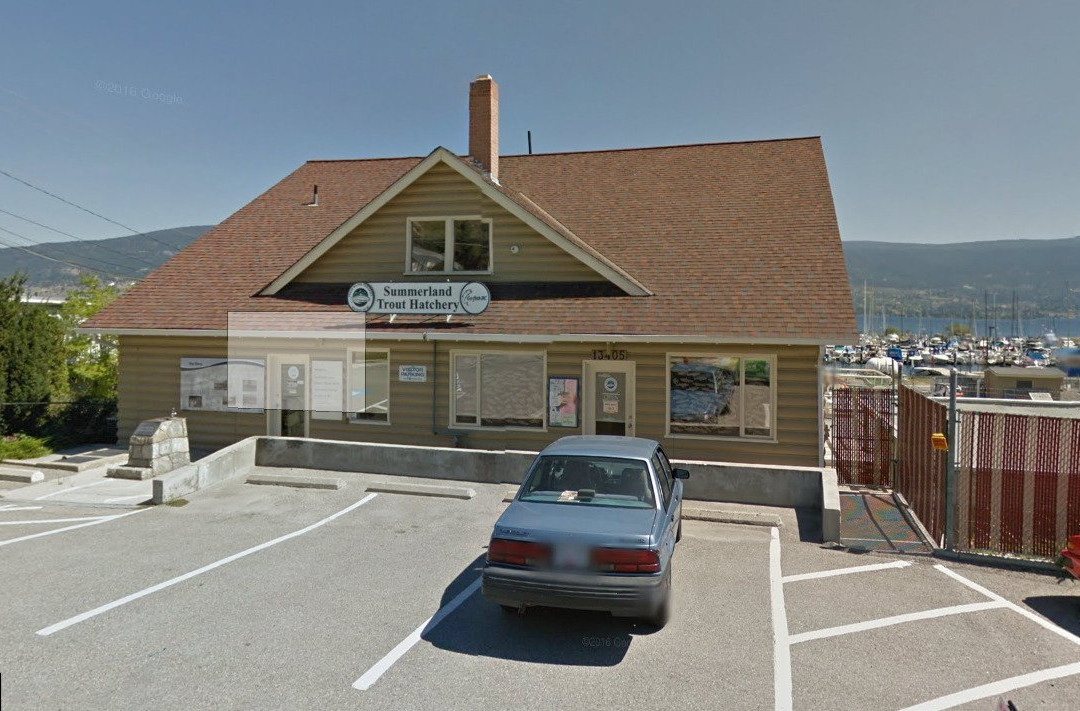 Summerland Trout Hatchery And Visitor Centre景点图片