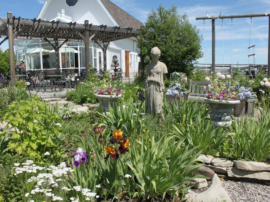 September Springs Ranch