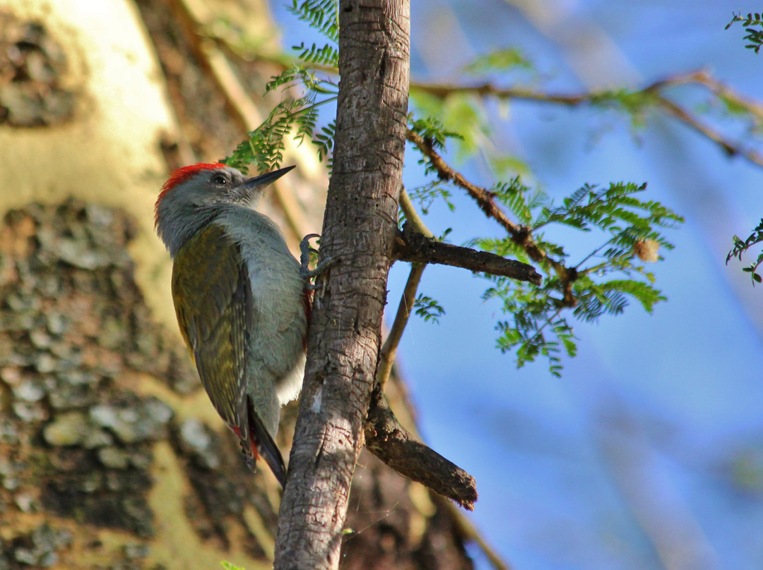 Thomson's Falls Lodge主图