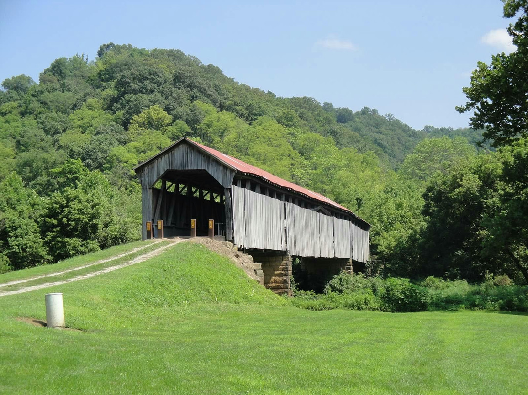Carbon Hill旅游景点-Wayne National Forest