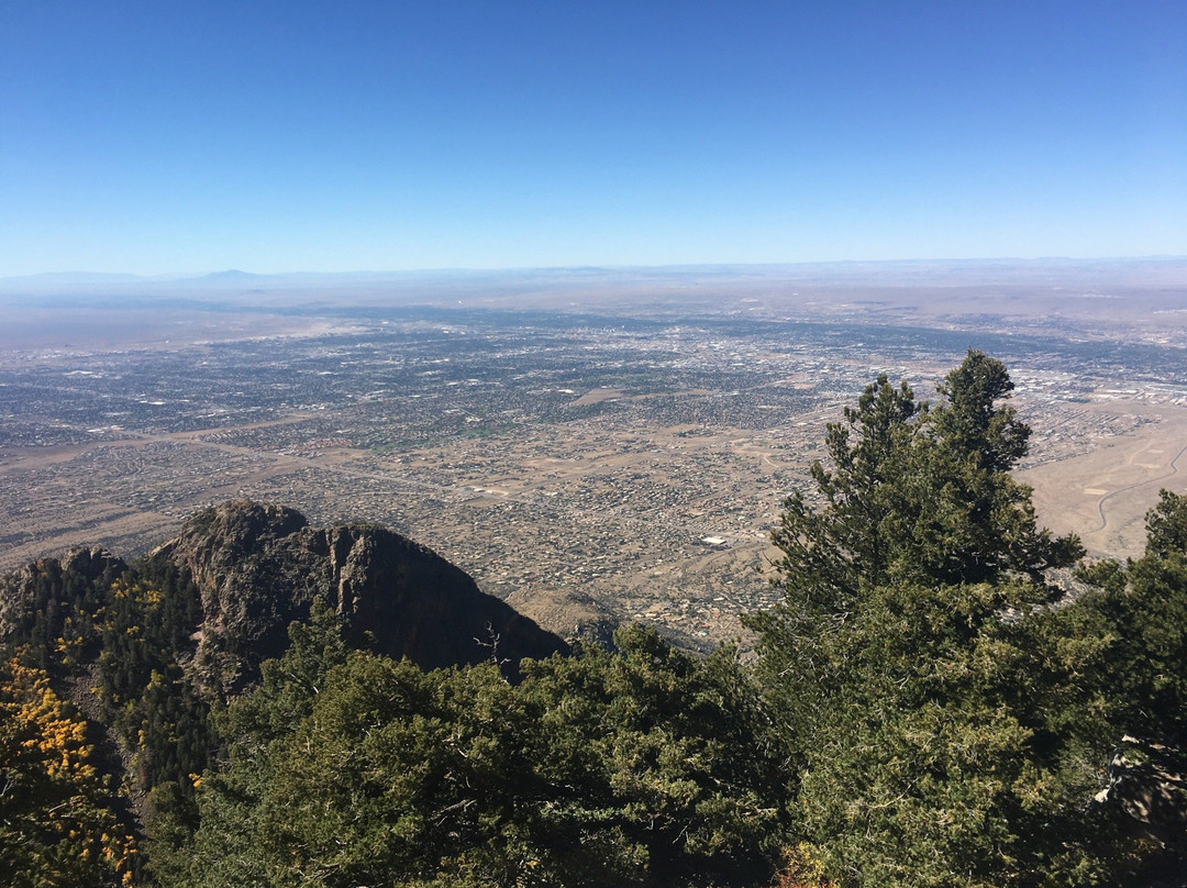 Sandia Crest House Gift Shop-Sandia Park必去景点