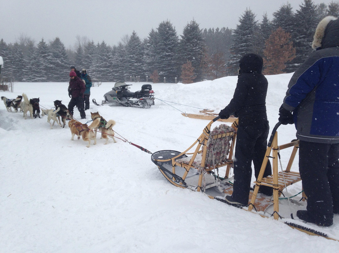 Shemhadar Dog Sled Adventures景点图片