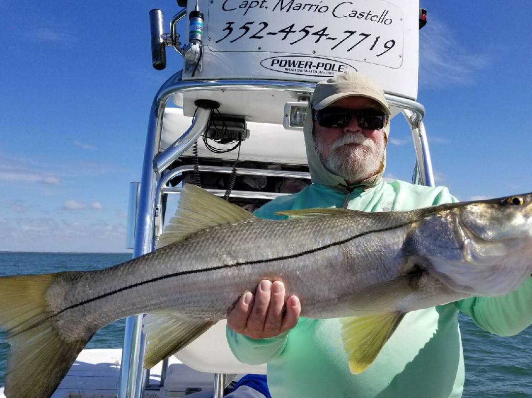 Tall Tales Charters