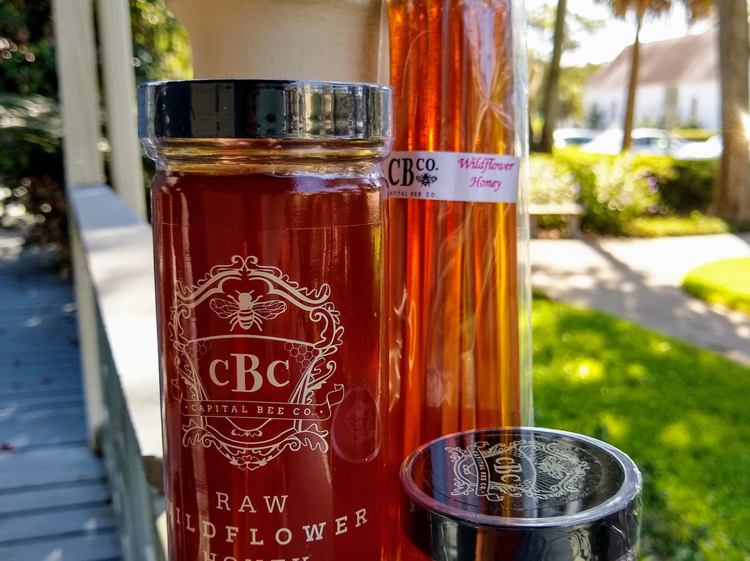 Olive Amelia-阿米莉亚岛必去景点