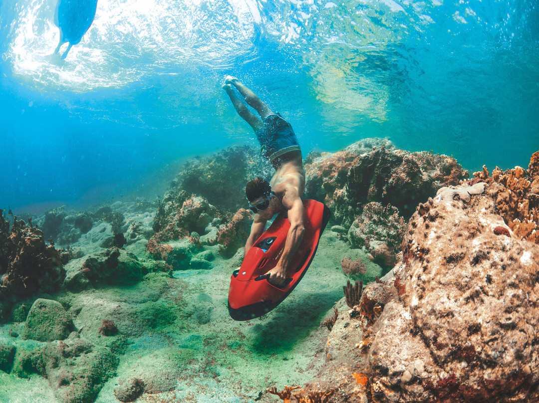 Beach Ventures-劳德代尔堡必去景点