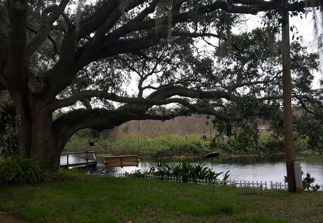 Clermont Waterfront Bikes And Boards-Clermont必去景点