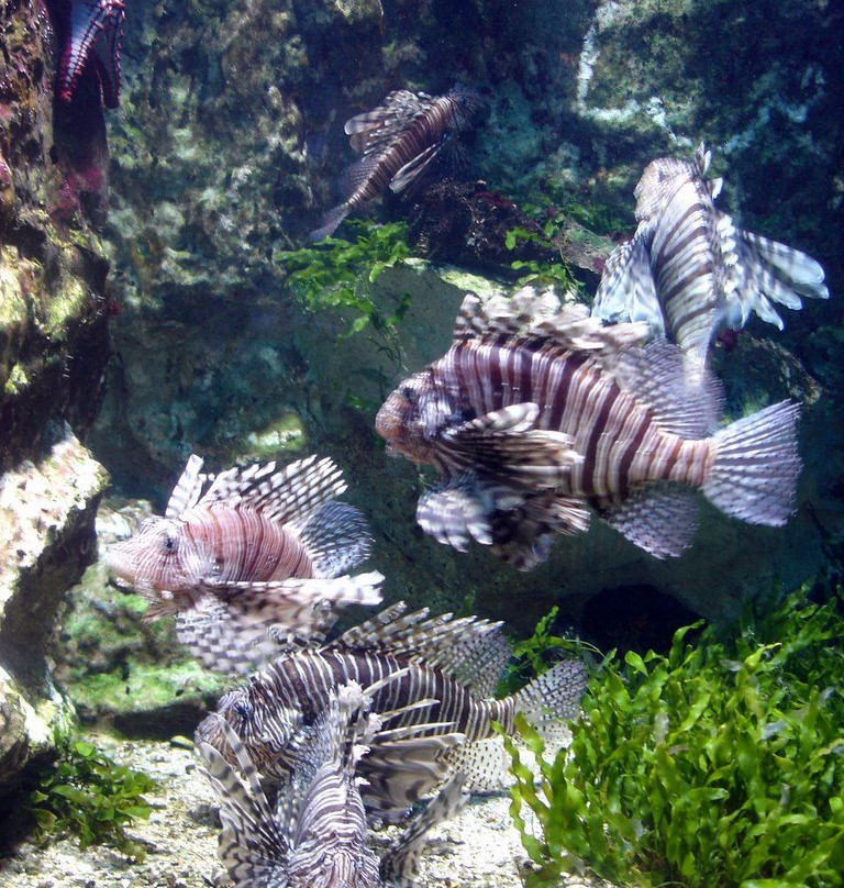 Grand Aquarium-圣马洛必去景点