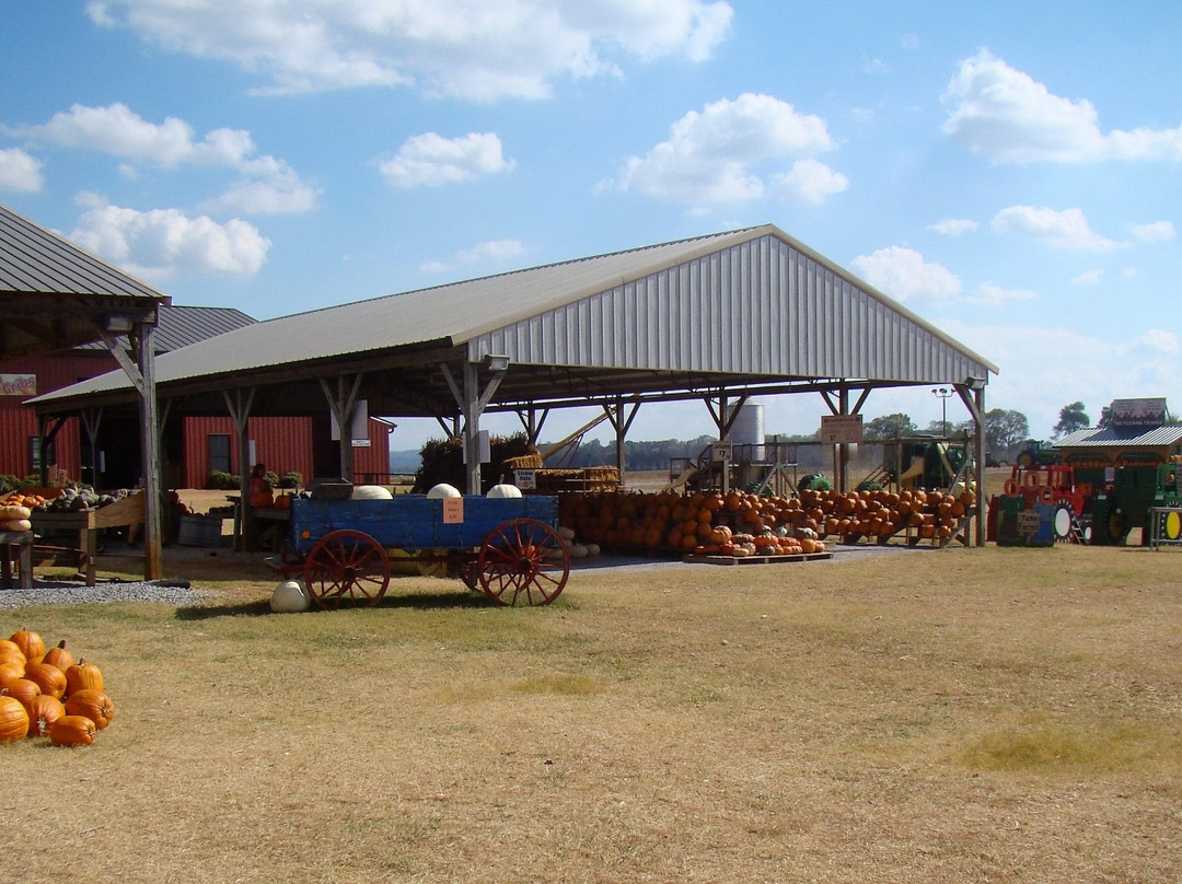 New Market旅游景点-Tate Farms