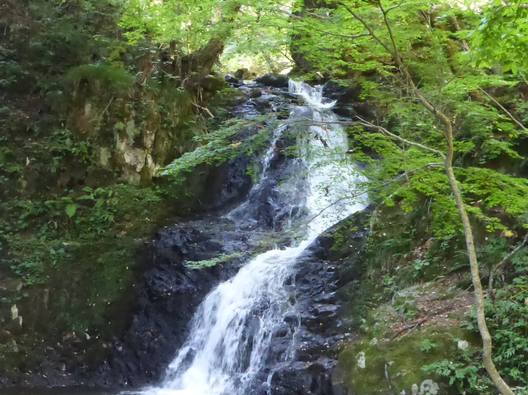 Utsueshijuhachitaki Falls Prefectural Nature Park景点图片