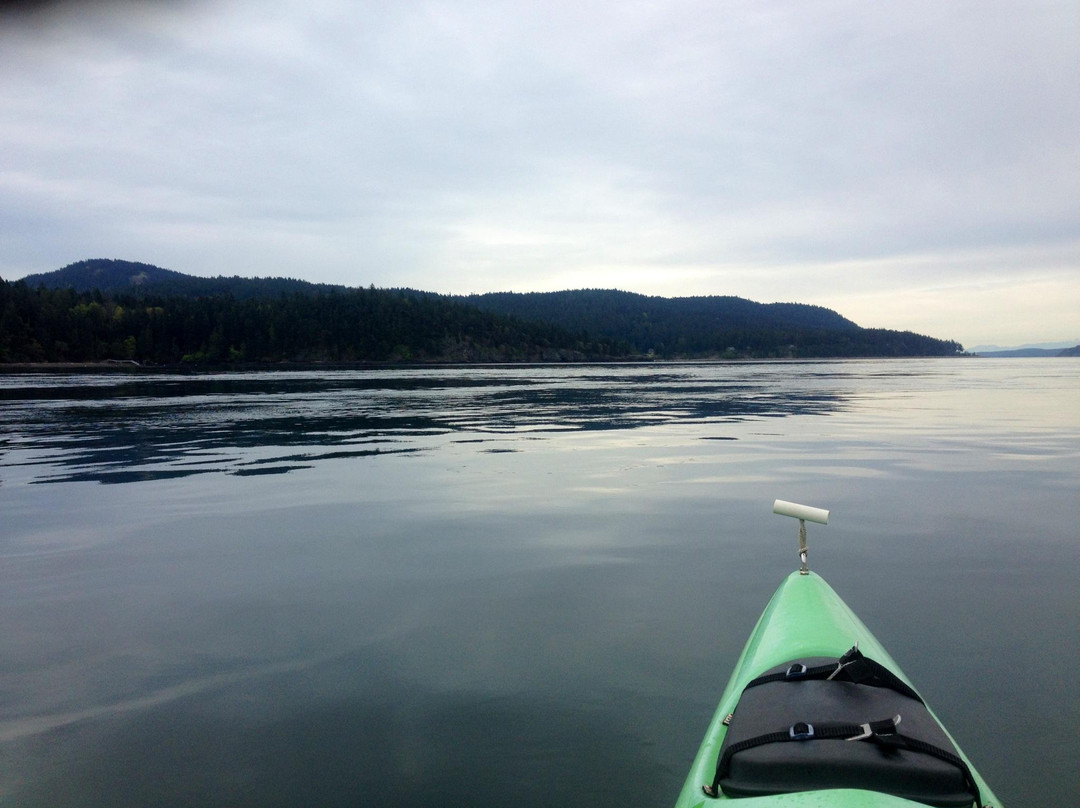 Kayaking at Spring Bay Inn景点图片