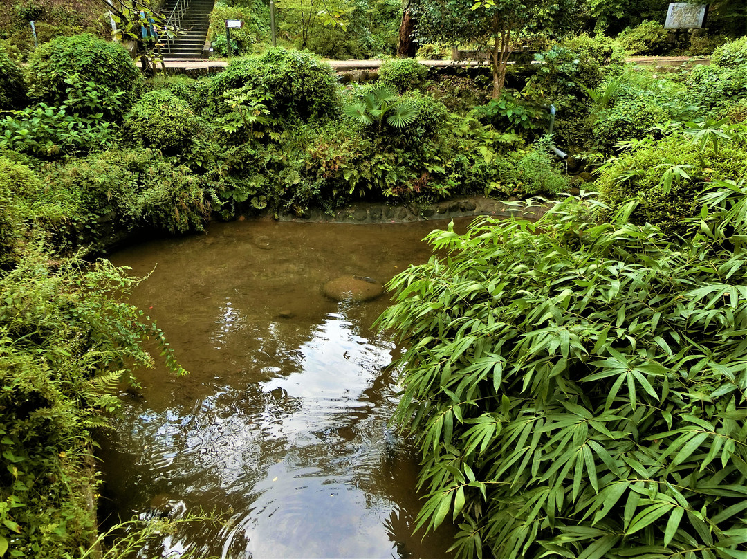 Ibuki Park-仓吉市必去景点