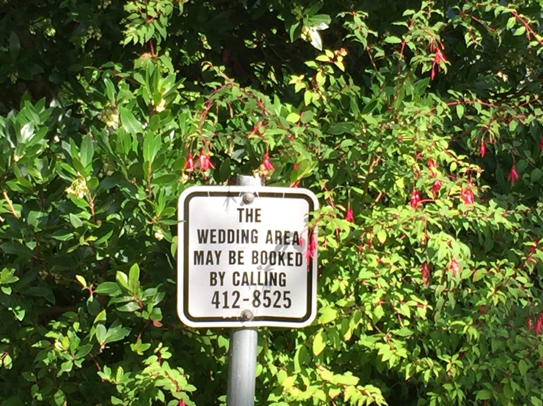 Saxe Point Park景点图片