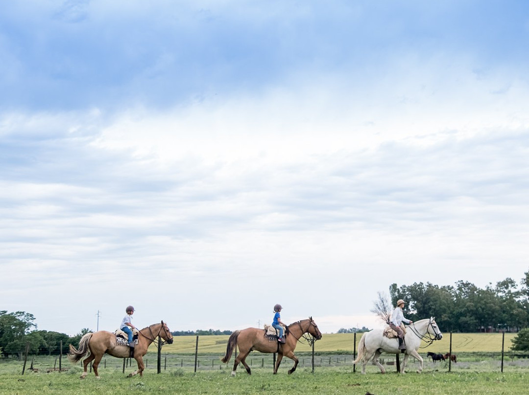 Estancia Los Dos Hermanos景点图片