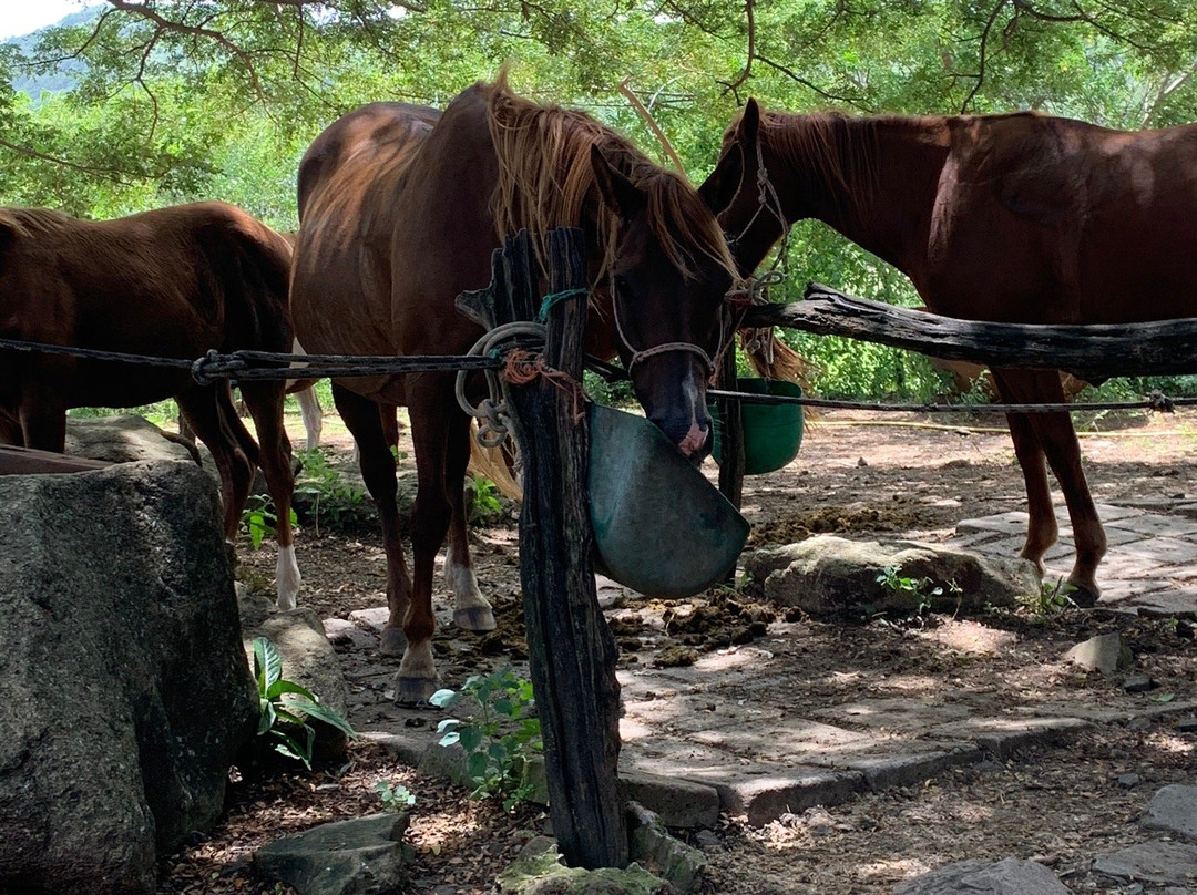 Ranch Anse Macabou-Le Vauclin必去景点
