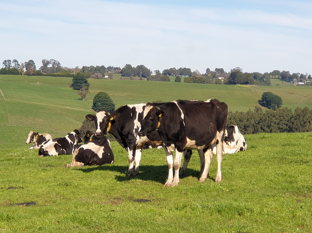 The Garden At Broughton Hall