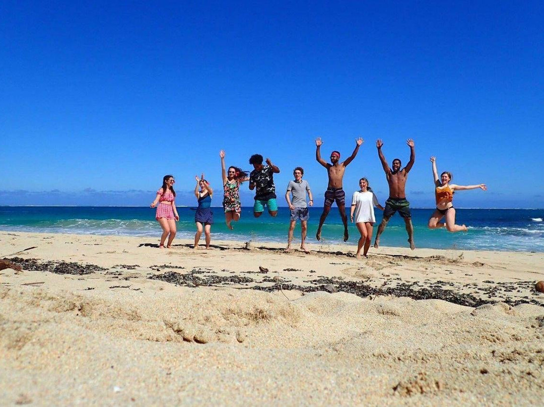 Komaia Tours & Transfers-纳迪市必去景点