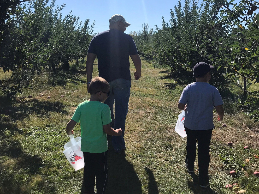 Blue Jay Orchards-Bethel必去景点