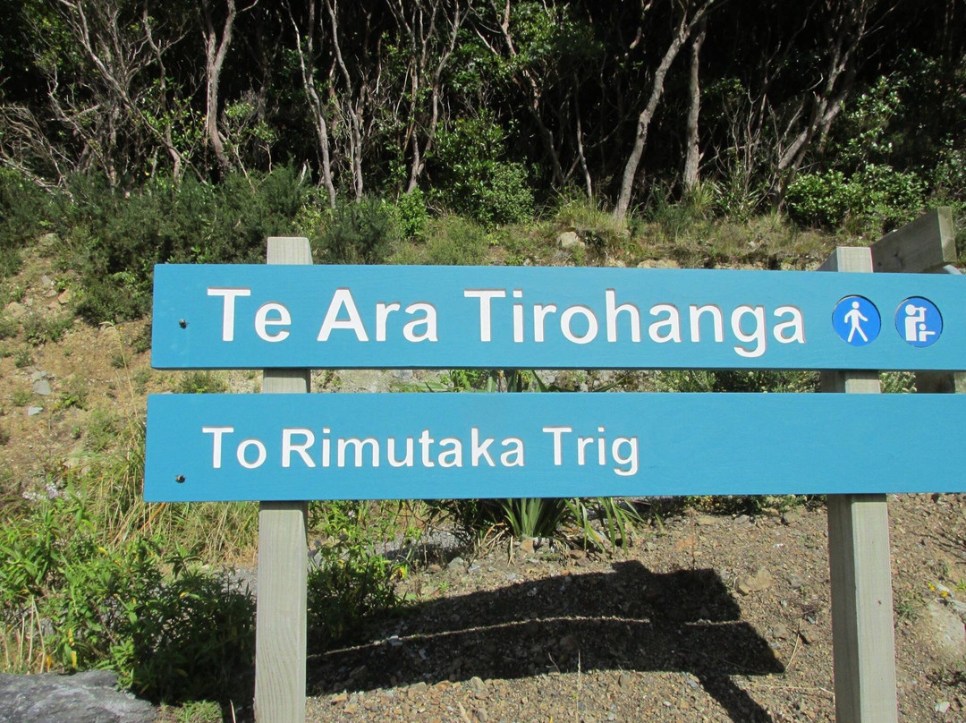 Te Ara Tirohanga景点图片