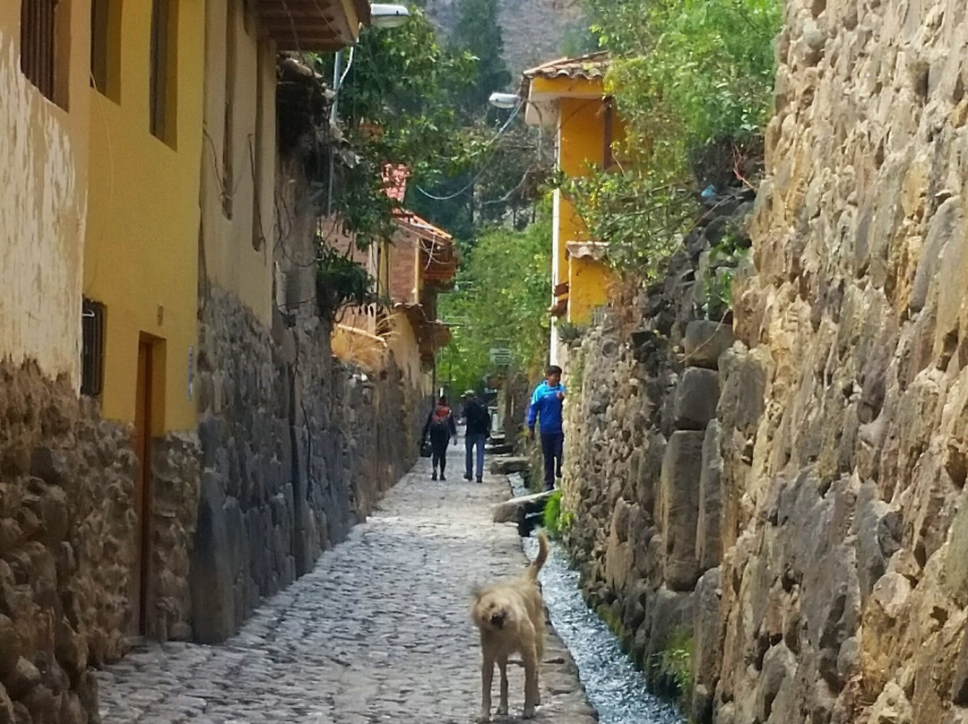 Casa Patacalle主图